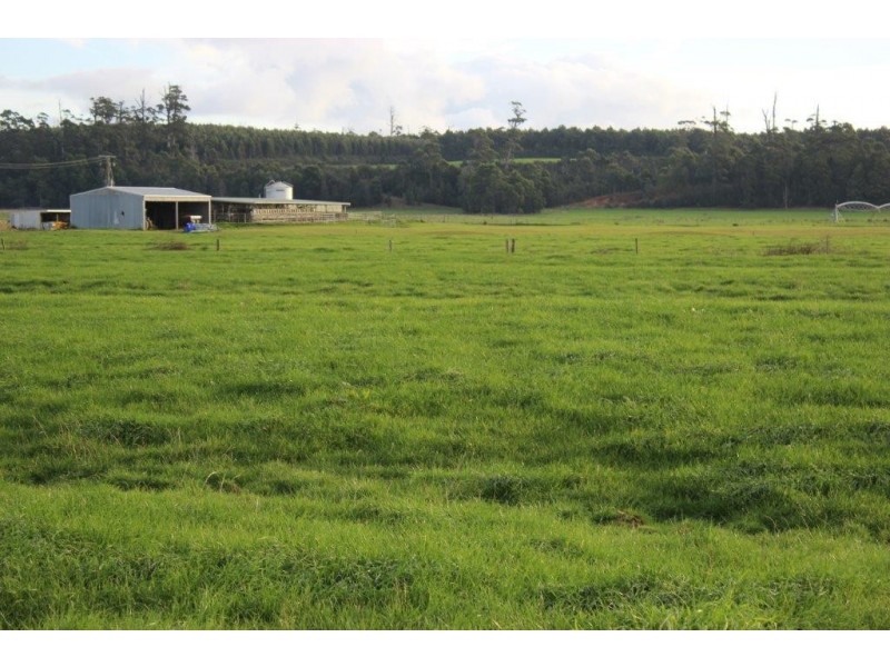 24610 Bass Highway, Brittons Swamp TAS 7330