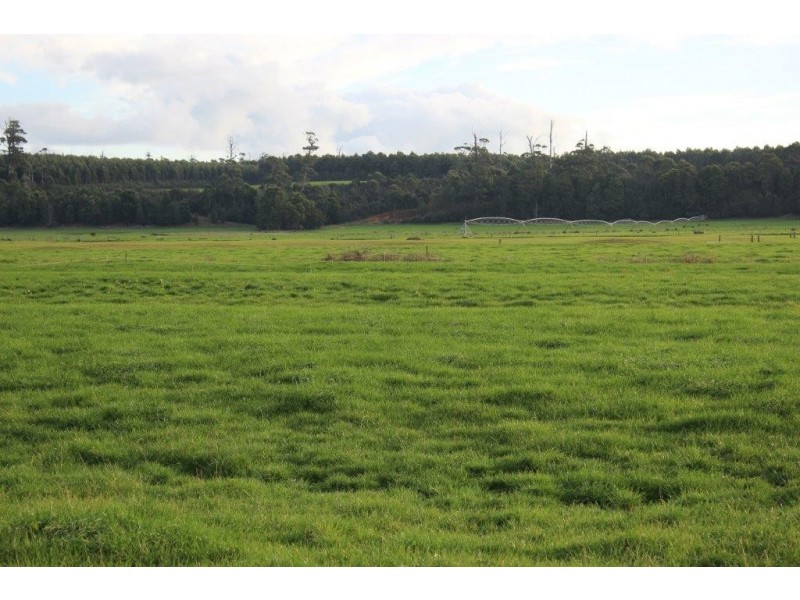 24610 Bass Highway, Brittons Swamp TAS 7330