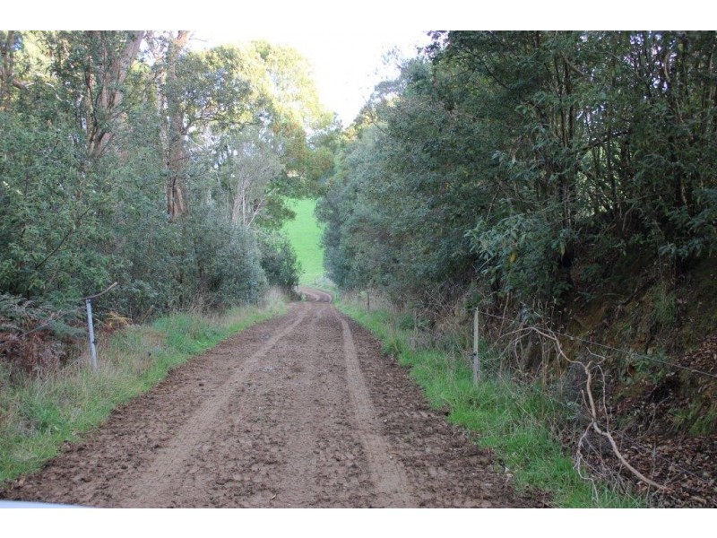 24610 Bass Highway, Brittons Swamp TAS 7330