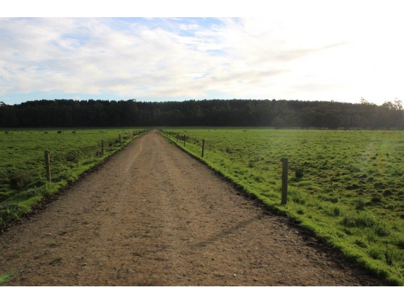 24610 Bass Highway, Brittons Swamp TAS 7330