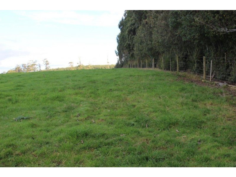 24610 Bass Highway, Brittons Swamp TAS 7330