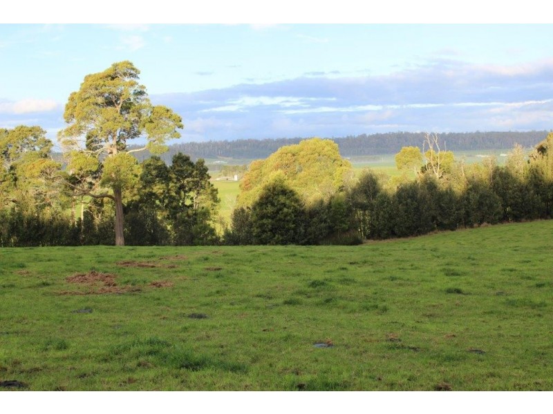 24610 Bass Highway, Brittons Swamp TAS 7330