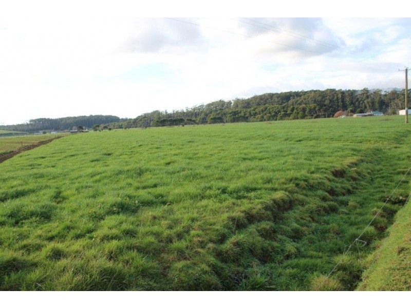 24610 Bass Highway, Brittons Swamp TAS 7330