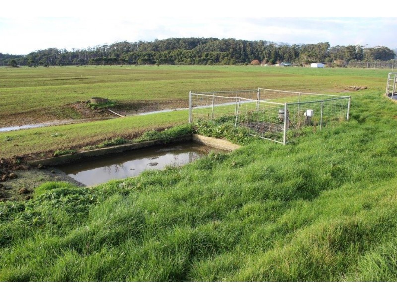 24610 Bass Highway, Brittons Swamp TAS 7330