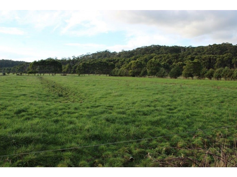 24610 Bass Highway, Brittons Swamp TAS 7330