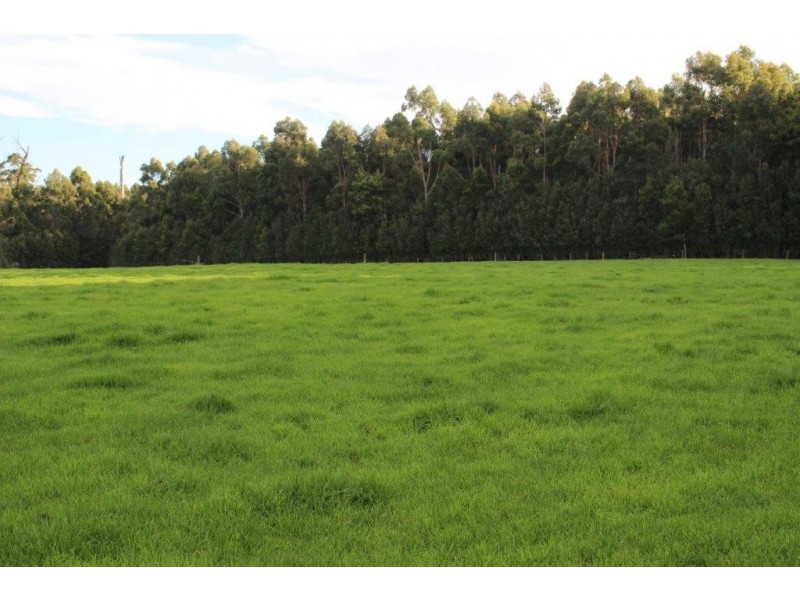 24610 Bass Highway, Brittons Swamp TAS 7330