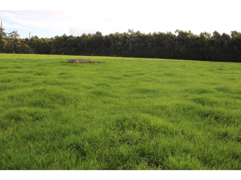 24610 Bass Highway, Brittons Swamp TAS 7330