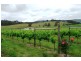1866 Pipers River Road, Lower Turners Marsh TAS 7267