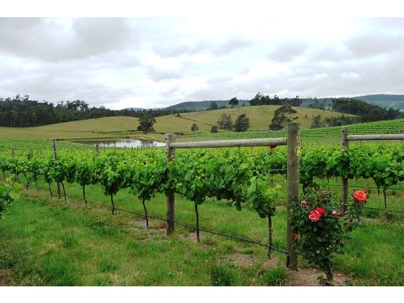 1866 Pipers River Road, Lower Turners Marsh TAS 7267