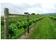 1866 Pipers River Road, Lower Turners Marsh TAS 7267