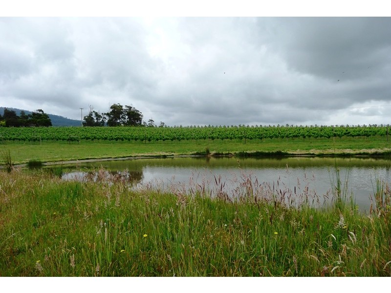 1866 Pipers River Road, Lower Turners Marsh TAS 7267