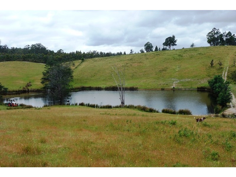 1866 Pipers River Road, Lower Turners Marsh TAS 7267