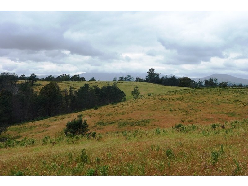 1866 Pipers River Road, Lower Turners Marsh TAS 7267