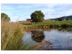 1866 Pipers River Road, Lower Turners Marsh TAS 7267
