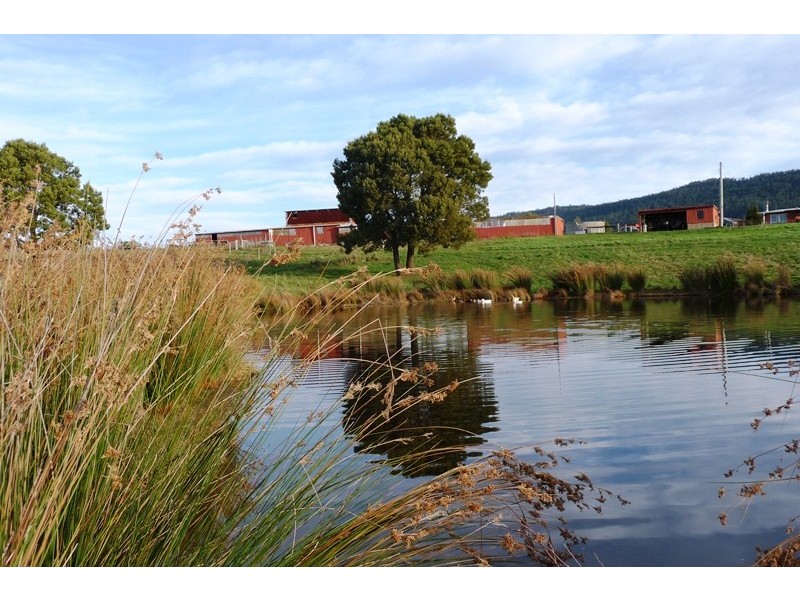 1866 Pipers River Road, Lower Turners Marsh TAS 7267