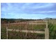 1866 Pipers River Road, Lower Turners Marsh TAS 7267