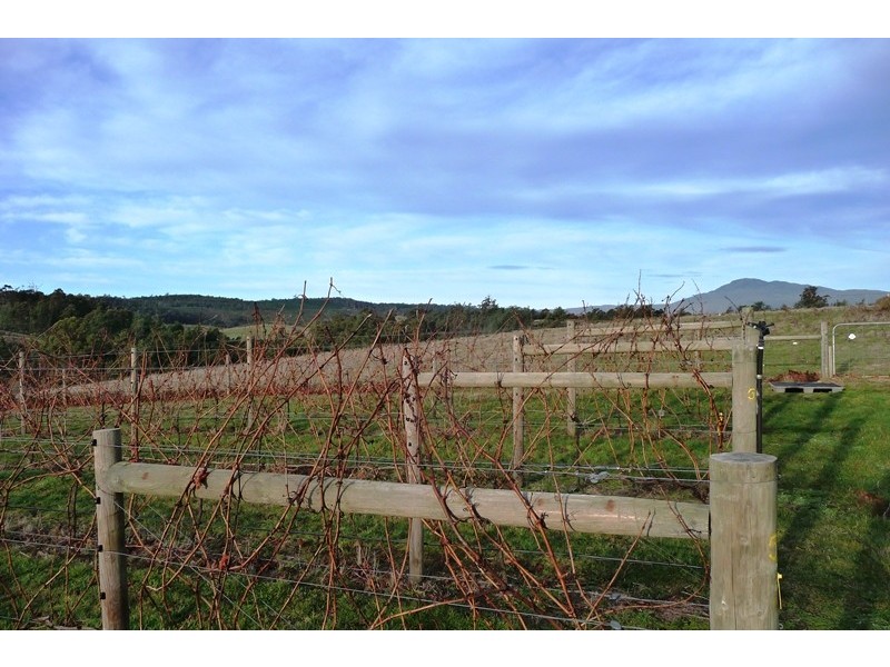 1866 Pipers River Road, Lower Turners Marsh TAS 7267