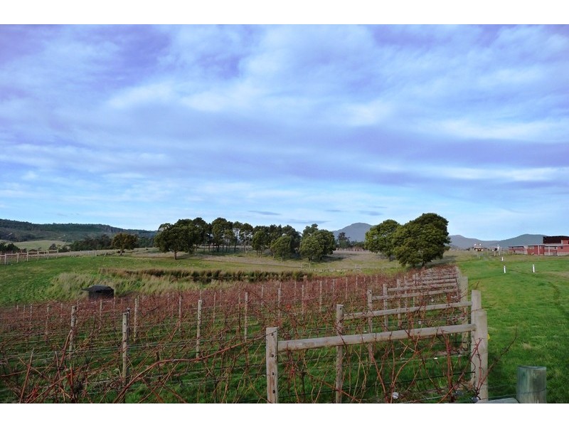1866 Pipers River Road, Lower Turners Marsh TAS 7267