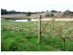 1866 Pipers River Road, Lower Turners Marsh TAS 7267