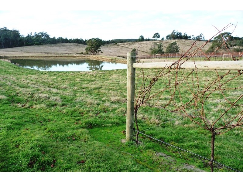1866 Pipers River Road, Lower Turners Marsh TAS 7267