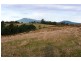 1866 Pipers River Road, Lower Turners Marsh TAS 7267