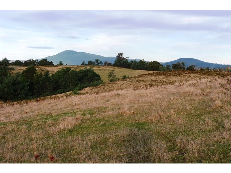 1866 Pipers River Road, Lower Turners Marsh TAS 7267
