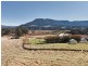 1585 Liffey Road, Liffey TAS 7301