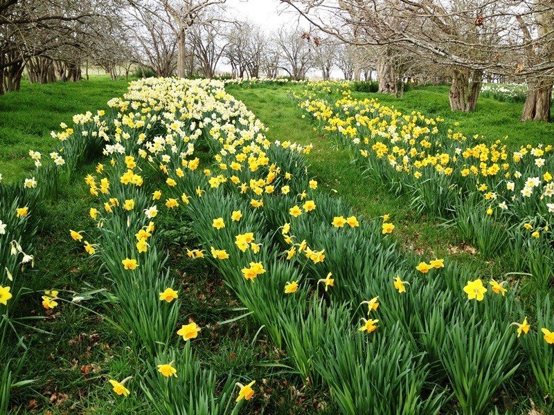 832 Glen Esk Road, Conara TAS 7211