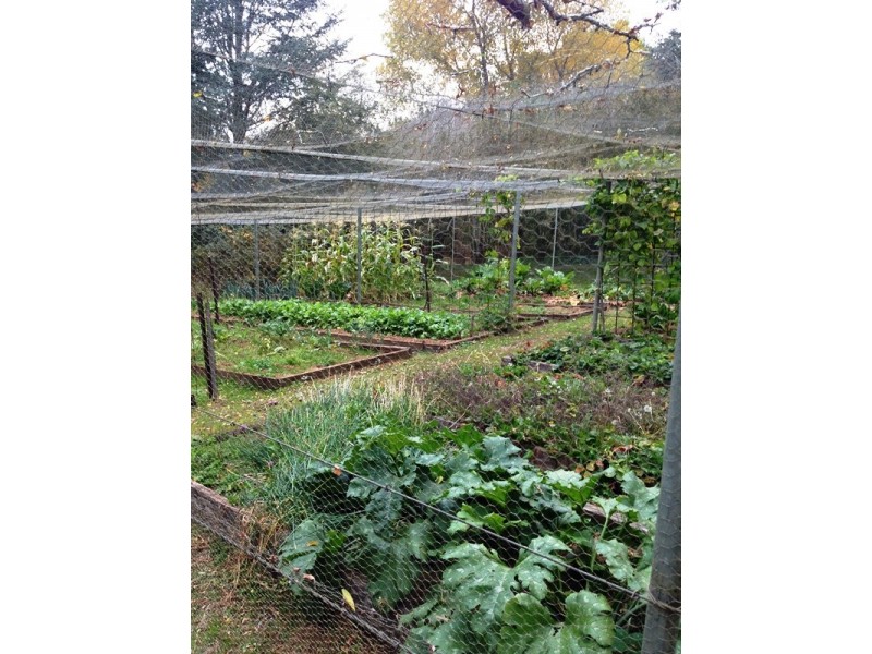 832 Glen Esk Road, Conara TAS 7211