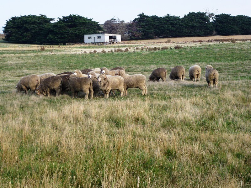 832 Glen Esk Road, Conara TAS 7211