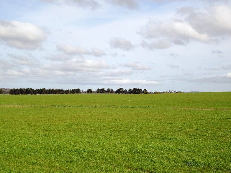 832 Glen Esk Road, Conara TAS 7211