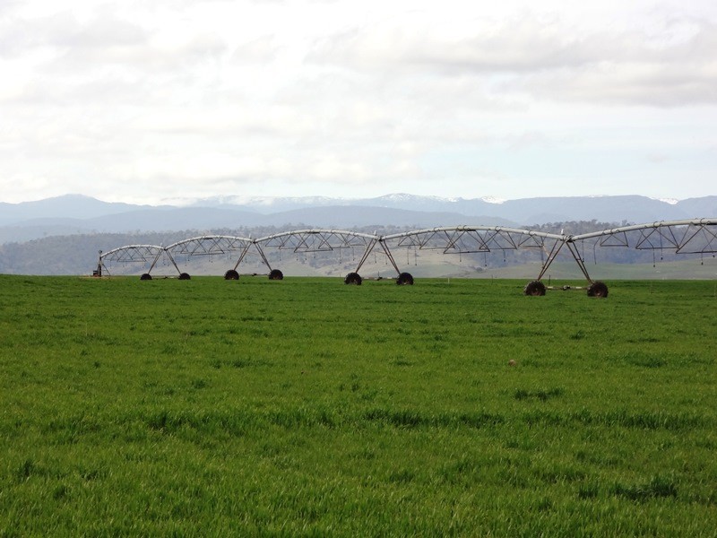 832 Glen Esk Road, Conara TAS 7211