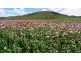 1014 Glen Esk Road, Conara TAS 7211