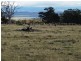 1014 Glen Esk Road, Conara TAS 7211