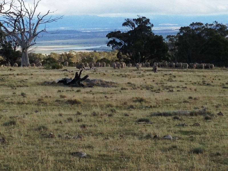 1014 Glen Esk Road, Conara TAS 7211