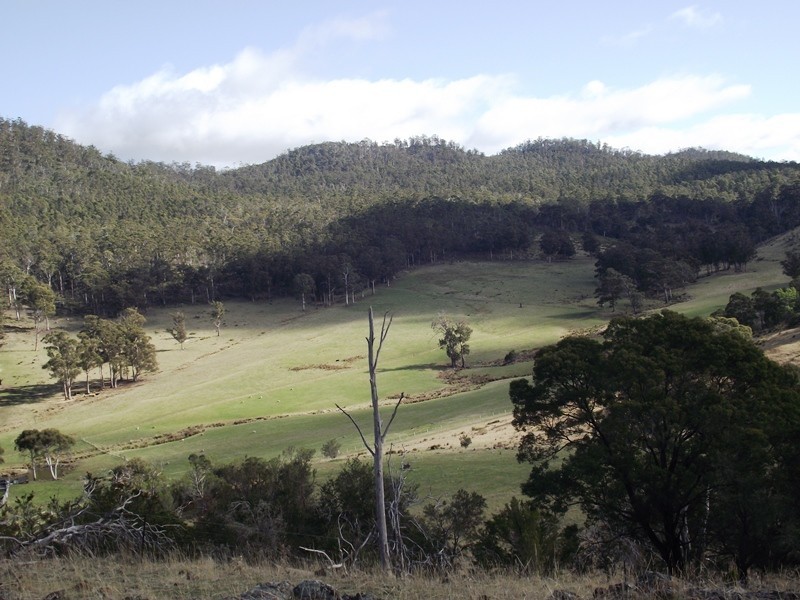 156 Williams Road, Tea Tree TAS 7017