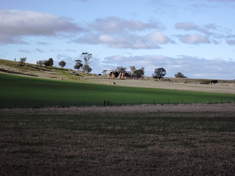 156 Williams Road, Tea Tree TAS 7017