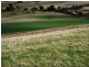 156 Williams Road, Tea Tree TAS 7017