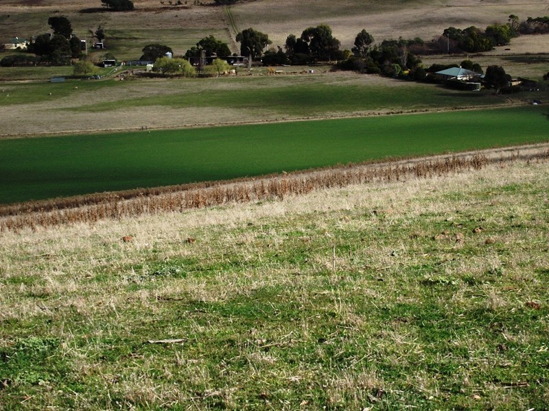 156 Williams Road, Tea Tree TAS 7017