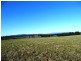 1315 Illawarra Road, Carrick TAS 7291