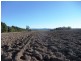 1315 Illawarra Road, Carrick TAS 7291