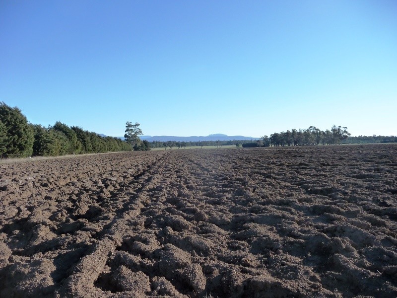 1315 Illawarra Road, Carrick TAS 7291