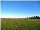 1315 Illawarra Road, Carrick TAS 7291