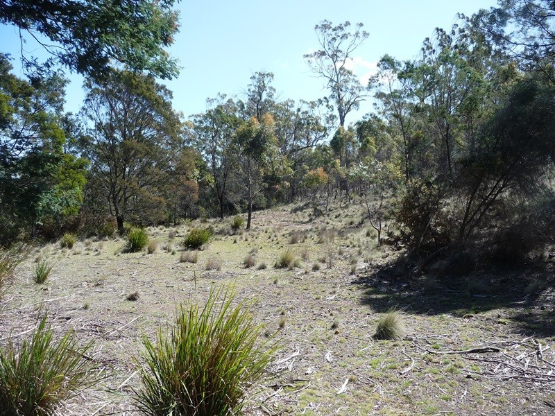 879 Bryants Lane, Deddington TAS 7212