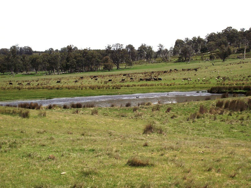 1230 Bashan Road, Victoria Valley TAS 7140