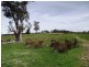 1230 Bashan Road, Victoria Valley TAS 7140