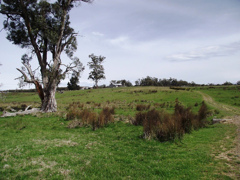 1230 Bashan Road, Victoria Valley TAS 7140