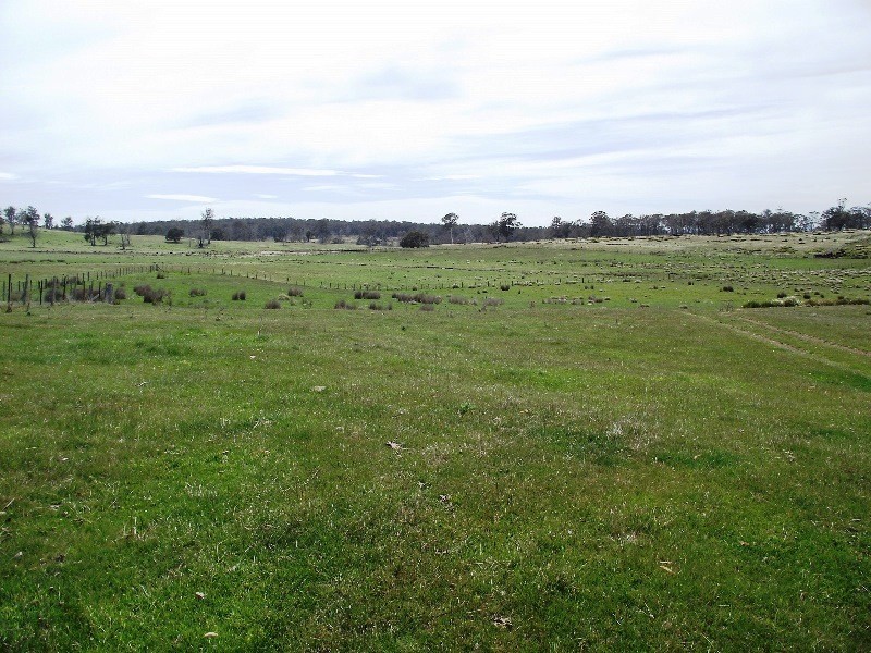 1230 Bashan Road, Victoria Valley TAS 7140