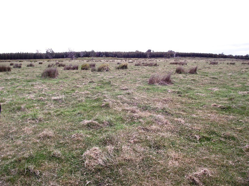 1230 Bashan Road, Victoria Valley TAS 7140