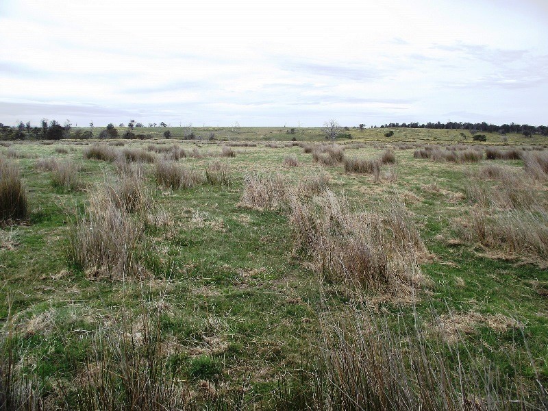 1230 Bashan Road, Victoria Valley TAS 7140